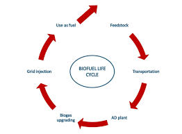 WBCS Bio-Energy Cycle - Geography Notes IMAGE