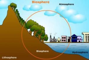 WBCS Nature And Composition Of Biosphere - Geography Notes IMAGE