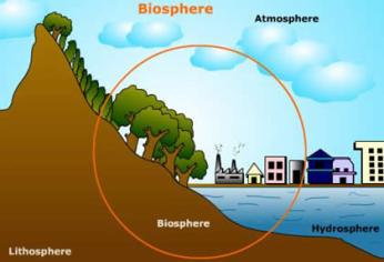 WBCS Nature And Composition Of Biosphere - Geography Notes IMAGE