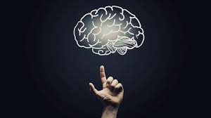 WBCS Contemporary Psychology NOTES IMAGE