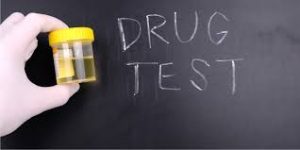 WBCS Should People On Welfare Be Required To Submit To Drug Testing - Essay Composition IMAGE