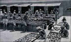 WBCS Notes On History-Education System in India during British Rule IMAGE