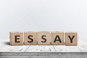 WBCS ENGLISH essay writing SAMPLE 11 image