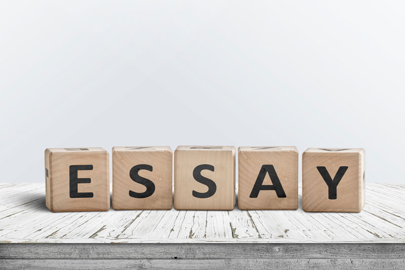 WBCS ENGLISH essay writing SAMPLE 11 image