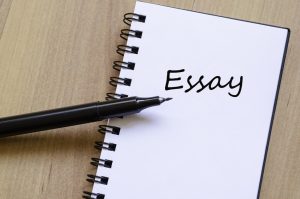 WBCS ESSAY COMPOSITION SAMPLE 4 IMAGE