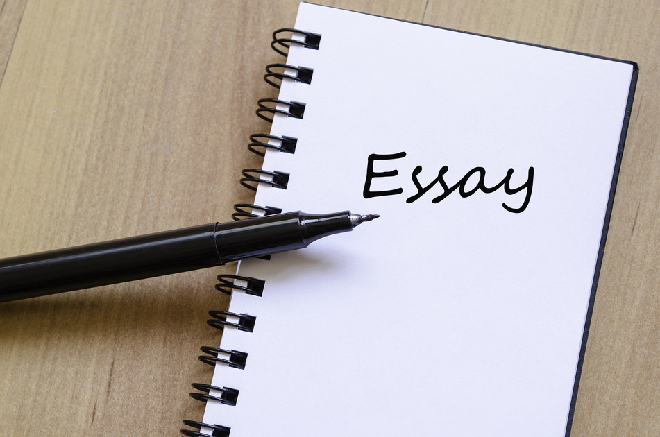WBCS ESSAY COMPOSITION SAMPLE 4 IMAGE