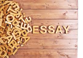 WBCS ESSAY COMPOSITION SAMPLE 6 IMAGE