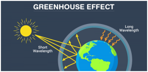 WBCS Green House Effect - Zoology Notes IMAGE