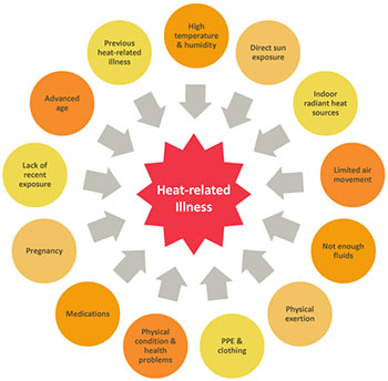 WBCS Physiology - Heat Stress And Heat Strain NOTES IMAGE