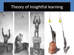 WBCS Theory Of Insight Learning - Psychology Notes IMAGE