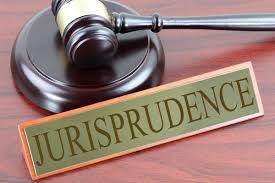 WBCS Jurisprudence - Law Optional Notes IMAGE