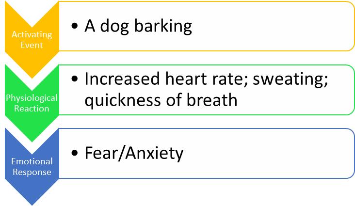 WBCS Sociology Notes - James Lange Theory IMAGE