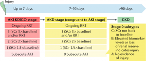 WBCS Medical Science - Acute Kidney Injury NOTES IMAGE