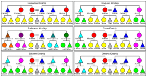 WBCS Kinship - Meaning, Types - Anthropology Notes IMAGE