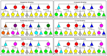 WBCS Kinship - Meaning, Types - Anthropology Notes IMAGE
