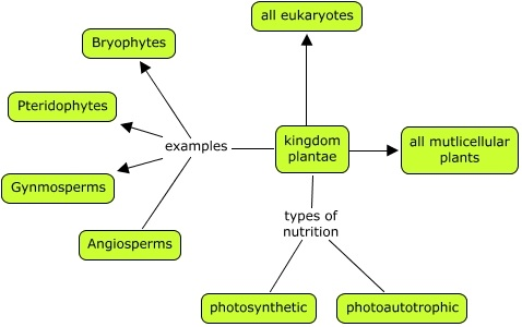 WBCS Plantae Kingdom - General Science Notes IMAGE