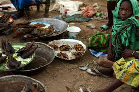 WBCS Poverty And Developmental Issues - General Studies Notes IMAGE