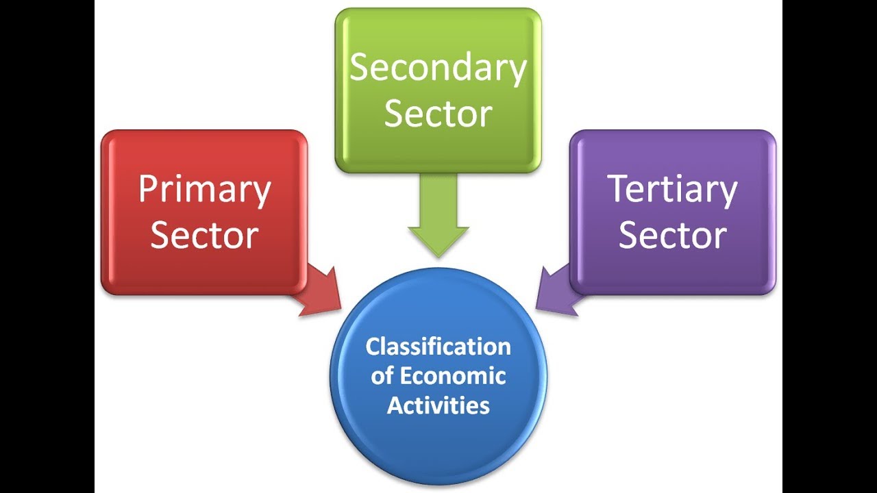 WBCS GEOGRAPHY Sectors Of Economy-Primary, Secondary, Tertiary, Quaternary NOTES IMAGE
