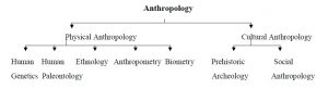 WBCS Scope Of Anthropology NOTES IMAGE