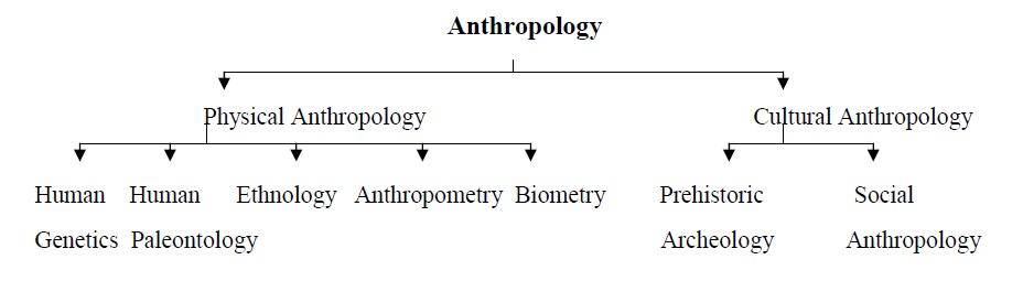 WBCS Scope Of Anthropology NOTES IMAGE