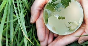 WBCS Sociology - Social Responsibility Of Science NOTES IMAGE