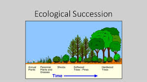 WBCS Ecological Succession - Zoology Notes IMAGE