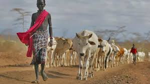 WBCS Notes On History-Medieval India: Tribes IMAGE