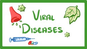 WBCS Biology - Viral Diseases - Notes IMAGE