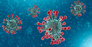 WBCS Biology - Virus - Notes IMAGE