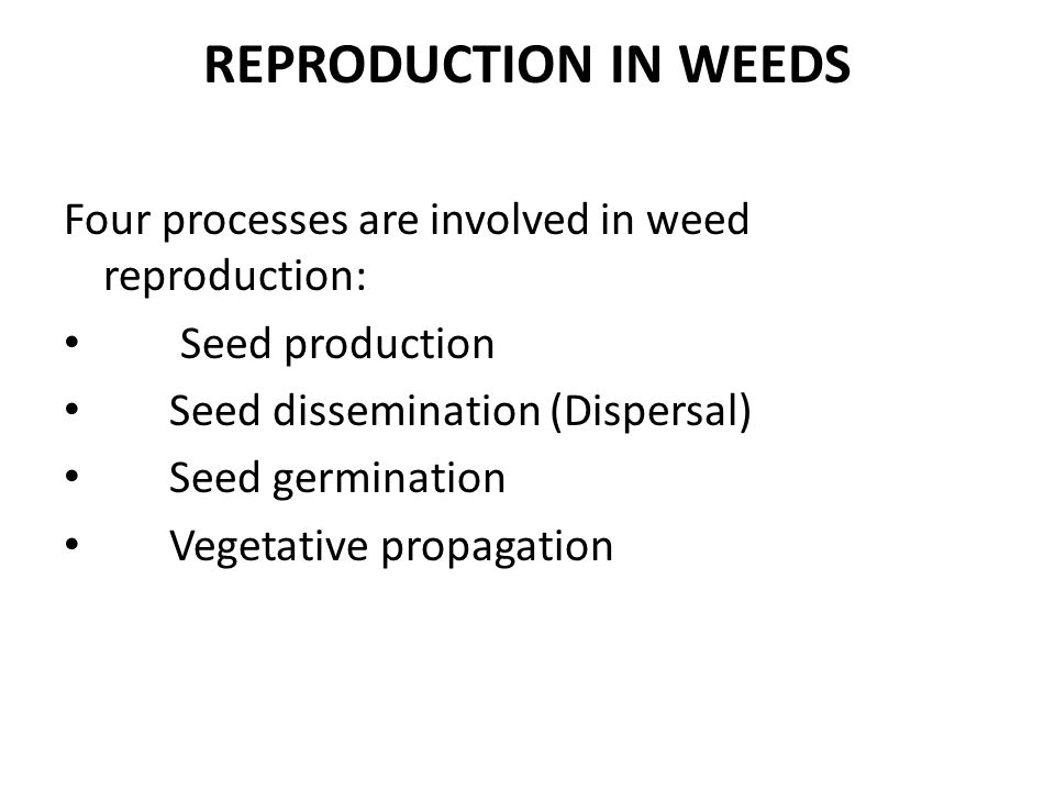 WBCS WEED DISSEMINATION - Agriculture Notes IMAGE