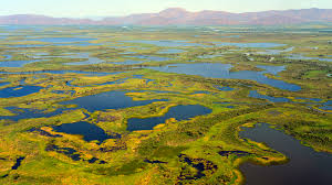 WBCS Wetlands in India- Notes On Environment IMAGE