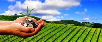 WBCS Essay Composition - Indian Agriculture IMAGE