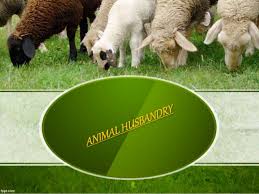 WBCS Exotic Breeds - Notes On Animal Husbandry IMAGE