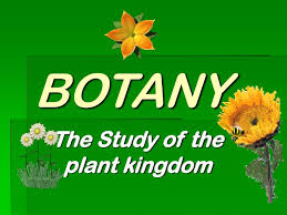 WBCS Main 2000 Optional Question Paper Botany IMAGE