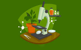 WBCS Main 2003 Optional Question Paper Botany IMAGE