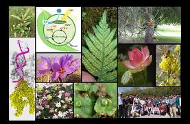WBCS Main Optional Question Paper Botany IMAGE sample