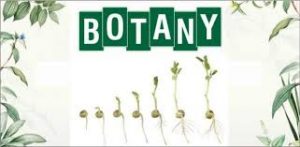 WBCS Main 2002 Optional Question Paper Botany IMAGE