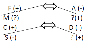W.B.C.S. Reasoning - Coded Relationship notes image