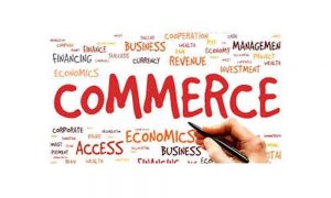 WBCS Commerce And Accountancy - Main Functions Of SIDBI NOTES IMAGE