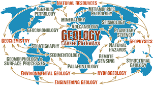 WBCS Gondwana Flora And Fauna - Geology Notes IMAGE