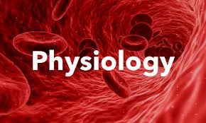 WBCS PHYSIOLOGY - Histological Structure Of Human Skin IMAGE