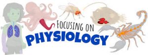 WBCS Physiology Notes - Structure And Functions Of Skin IMAGE
