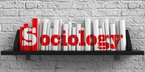WBCS Sources And Consequences Of Mobility - Sociology Notes IMAGE