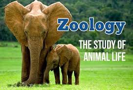 WBCS Main 2005 Optional Question Paper Zoology IMAGE
