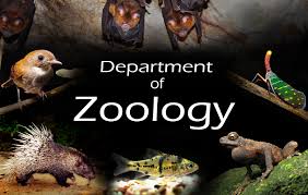 WBCS Zoology - Catabolite Repression NOTES IMAGE