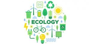 Environment-Notes-On-–-Ecology-And-Ecosystem-–-For-W.B.C.S.-Examination.