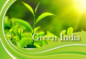 Essay-Composition-On-–-Green-India-Mission-–-For-W.B.C.S.-Examination