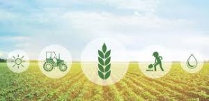 Factors-Affecting-Absorption-of-Water-In-Plants-–-Agriculture-Notes-–-For-W.B.C.S.-Examination