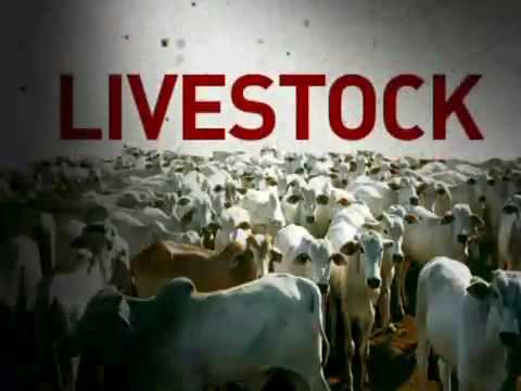 Organic-Livestock-Production-–-Animal-Husbandry-Veterinary-Science-Notes-–-For-W.B.C.S.-Examination.