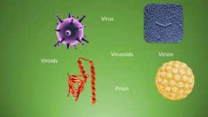 Viroids-–-Virusoids-–-Prions-–-Botany-Notes-–-For-W.B.C.S.-Examination